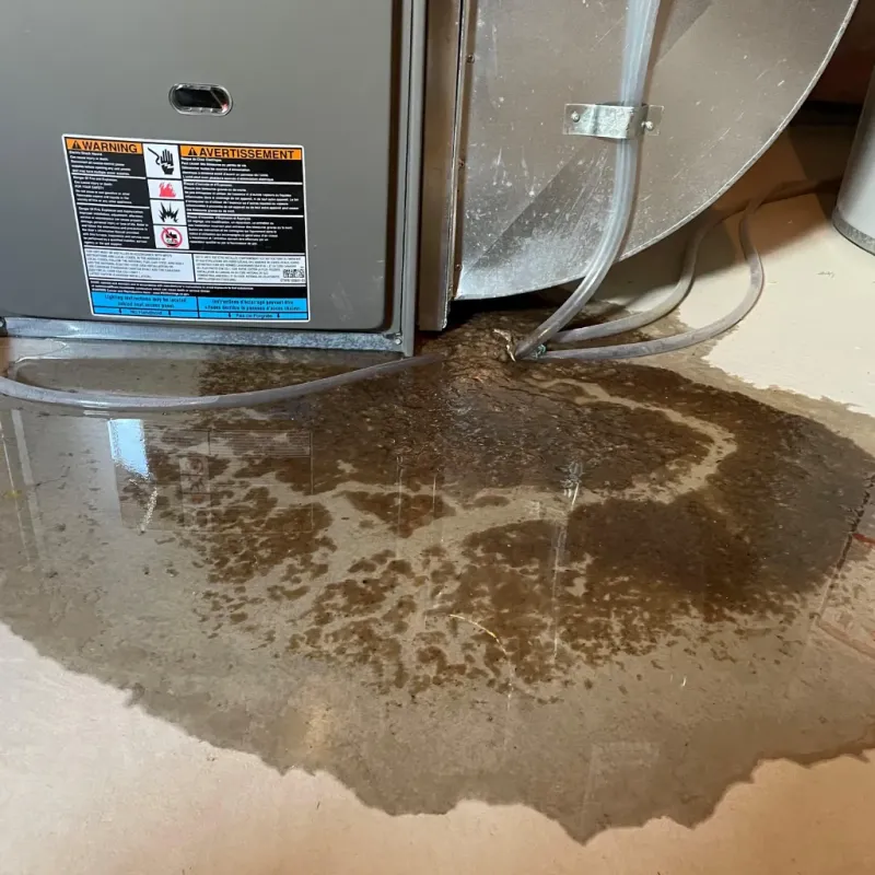 Appliance Leak Cleanup in Plymouth Meeting, PA